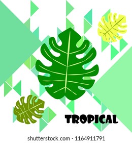 tropical summer tropical plant vector background