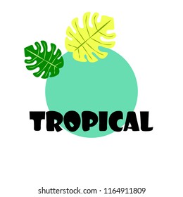 tropical summer tropical plant vector background