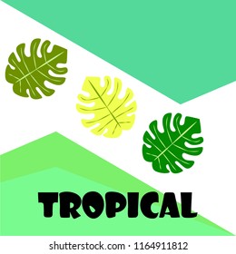 tropical summer tropical plant vector background