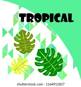 tropical summer tropical plant vector background