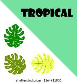tropical summer tropical plant vector background