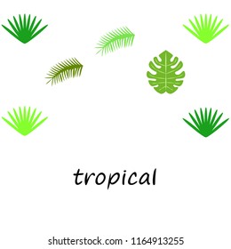 tropical summer tropical plant vector background