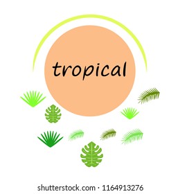 tropical summer tropical plant vector background