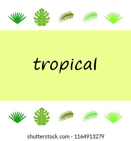 tropical summer tropical plant vector background