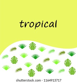 tropical summer tropical plant vector background