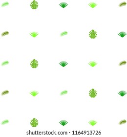 tropical summer tropical plant vector background