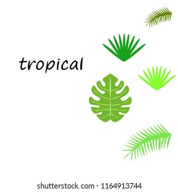 tropical summer tropical plant vector background