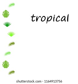 tropical summer tropical plant vector background