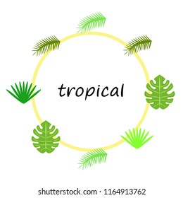 tropical summer tropical plant vector background