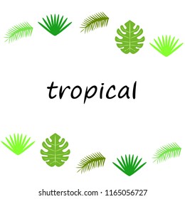 tropical summer tropical plant vector background