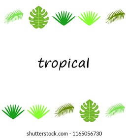 tropical summer tropical plant vector background