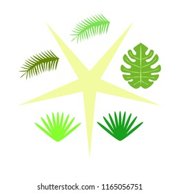 tropical summer tropical plant vector background