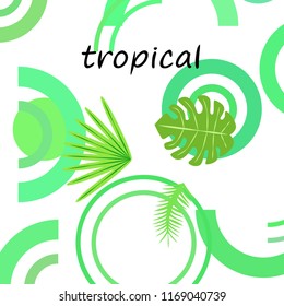 tropical summer tropical plant vector background