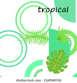 tropical summer tropical plant vector background
