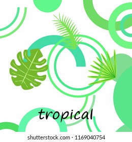 tropical summer tropical plant vector background