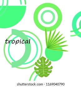 tropical summer tropical plant vector background