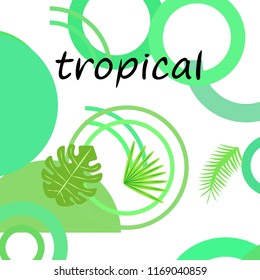 tropical summer tropical plant vector background
