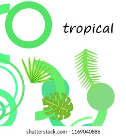 tropical summer tropical plant vector background
