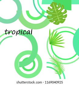 tropical summer tropical plant vector background