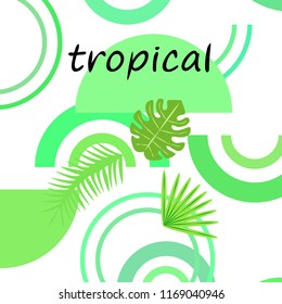 tropical summer tropical plant vector background
