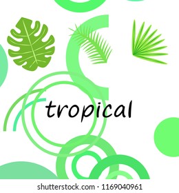 tropical summer tropical plant vector background