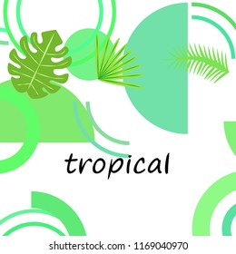 tropical summer tropical plant vector background