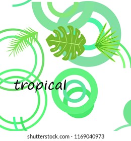 tropical summer tropical plant vector background