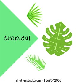 tropical summer tropical plant vector background