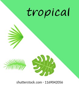 tropical summer tropical plant vector background