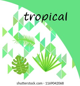 tropical summer tropical plant vector background