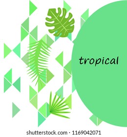 tropical summer tropical plant vector background
