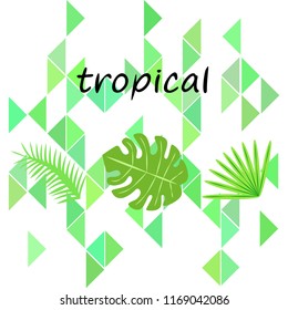tropical summer tropical plant vector background