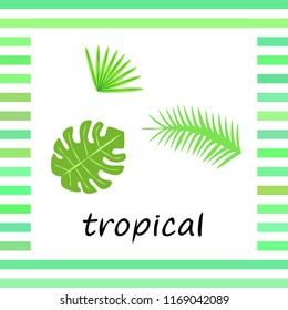tropical summer tropical plant vector background
