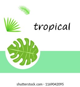 tropical summer tropical plant vector background