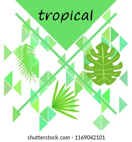 tropical summer tropical plant vector background