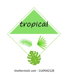 tropical summer tropical plant vector background