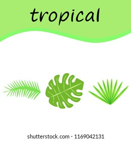tropical summer tropical plant vector background