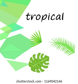 tropical summer tropical plant vector background