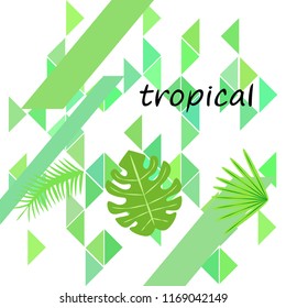 tropical summer tropical plant vector background