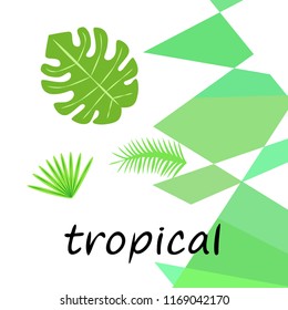tropical summer tropical plant vector background