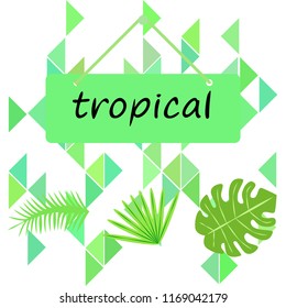 tropical summer tropical plant vector background