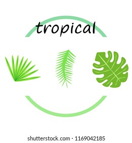 tropical summer tropical plant vector background