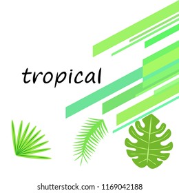 tropical summer tropical plant vector background