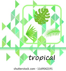 tropical summer tropical plant vector background