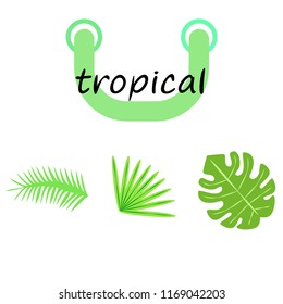 tropical summer tropical plant vector background