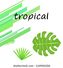 tropical summer tropical plant vector background