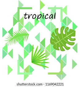 tropical summer tropical plant vector background