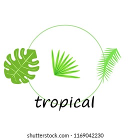 tropical summer tropical plant vector background