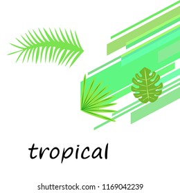 tropical summer tropical plant vector background