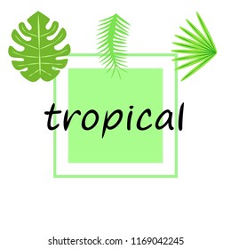 tropical summer tropical plant vector background